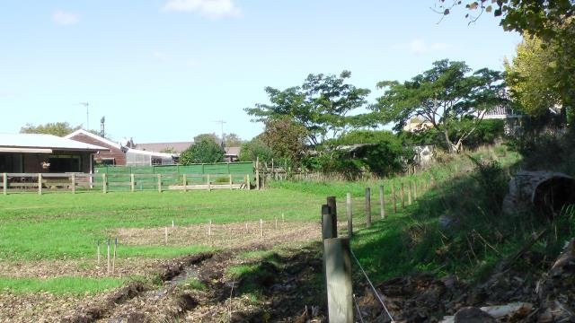 Layout 3. Cambridge Tree Trust